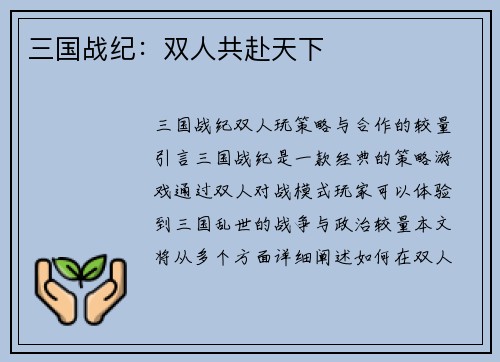 三国战纪：双人共赴天下